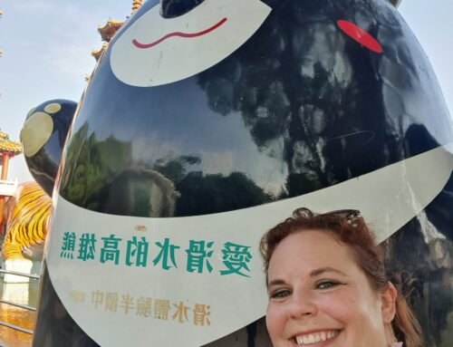 Einmal nach Taiwan reisen….